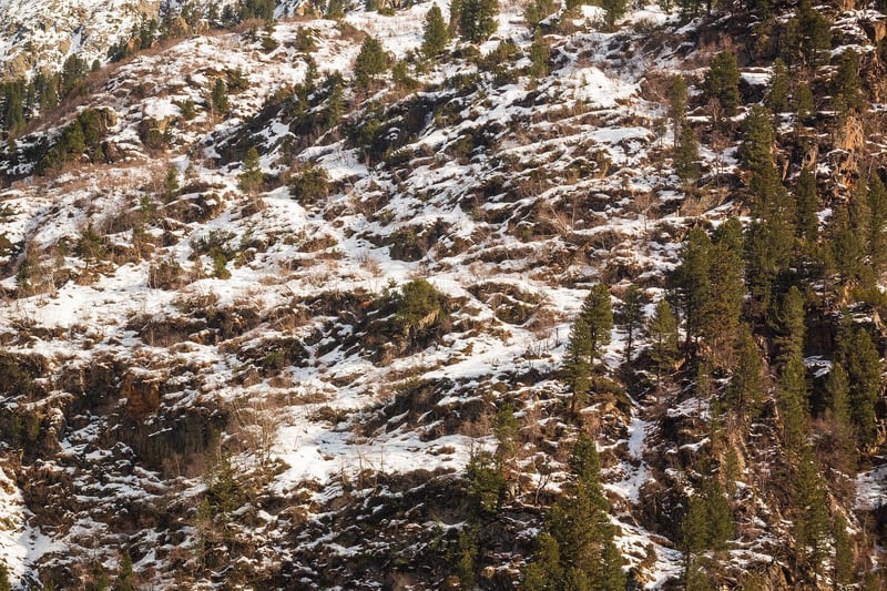 Mountain Hiking Image